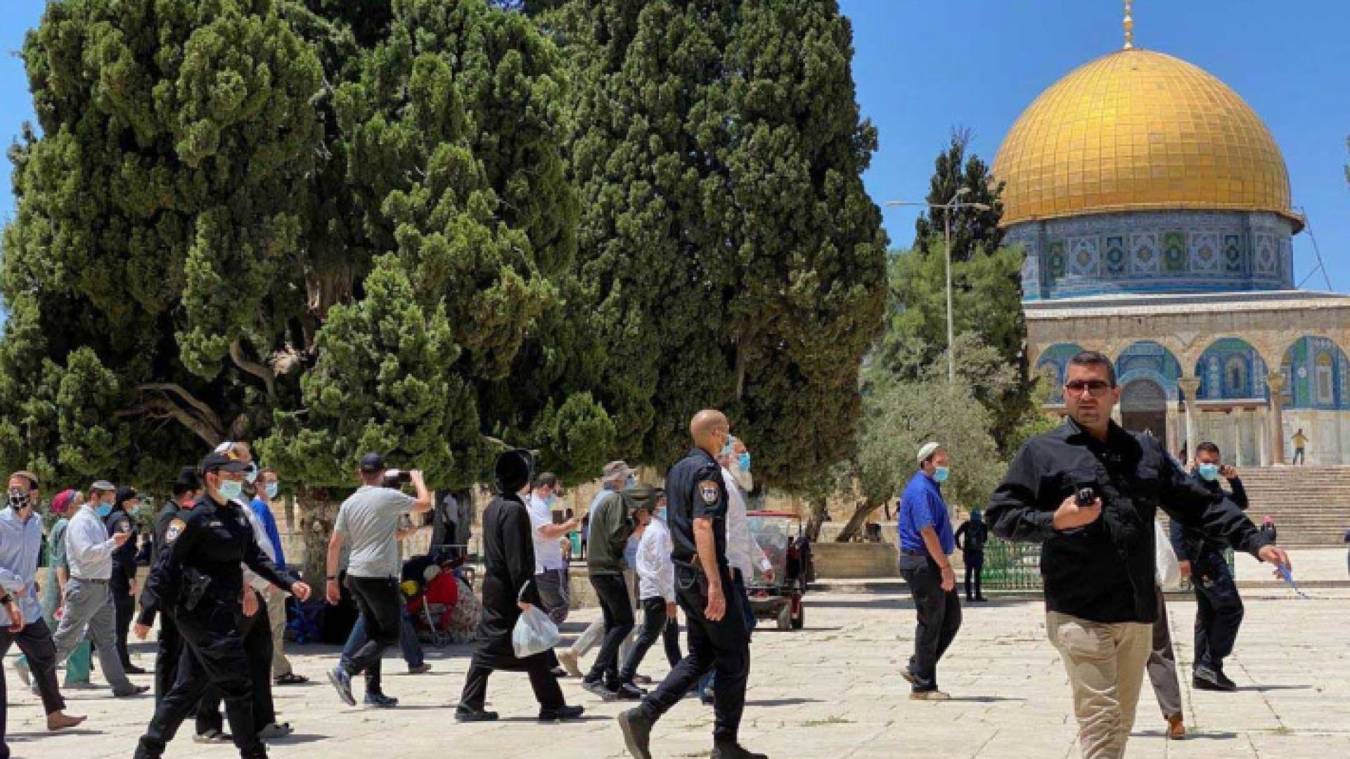 مستوطنون يقتحمون المسجد الأقصى