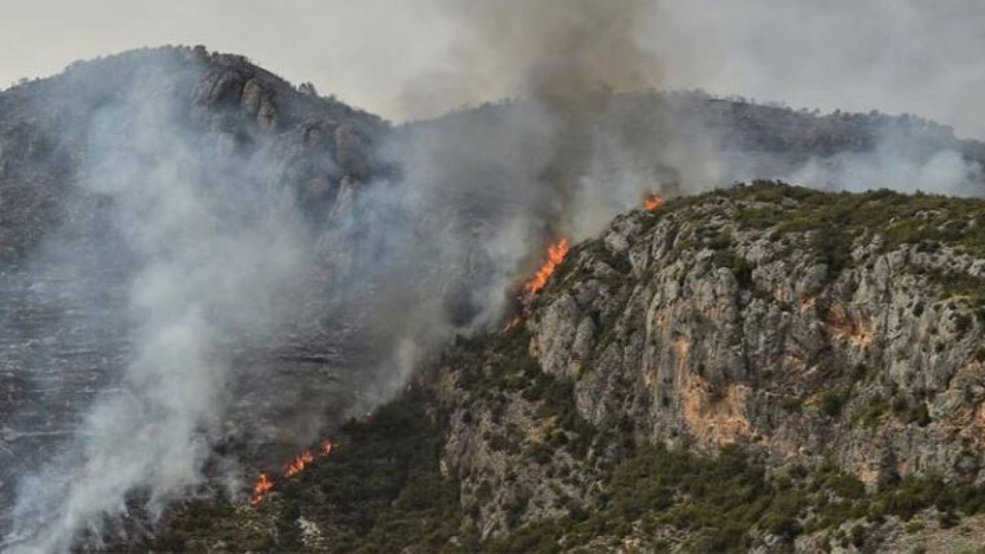 حريق غابة في كاتالونيا في