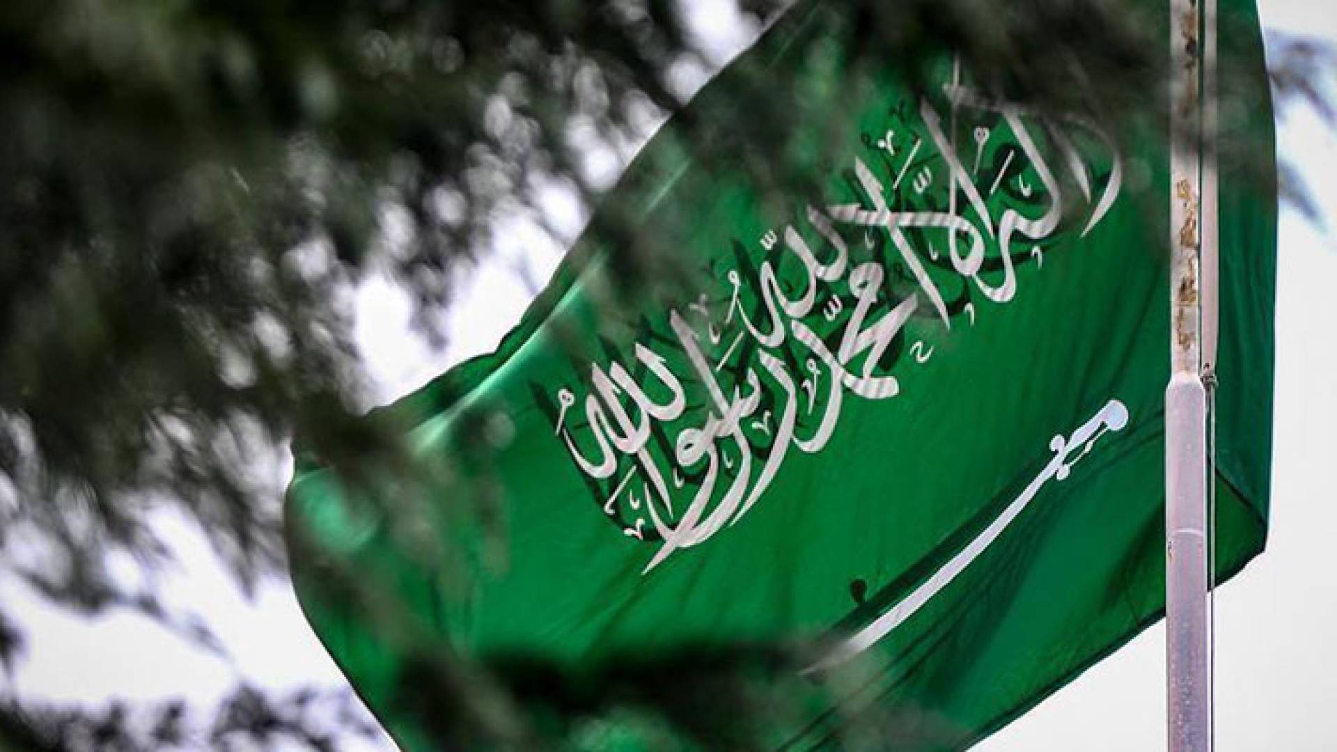 علم السعودية