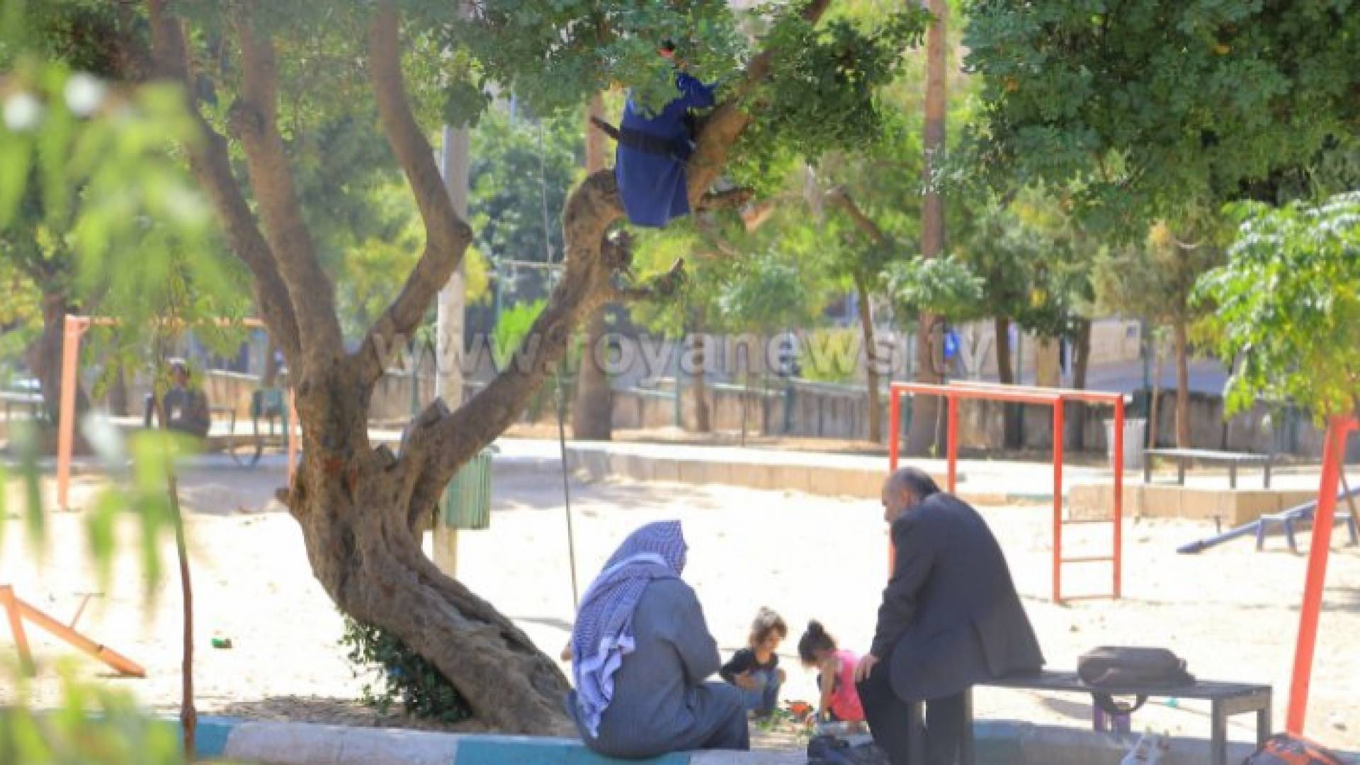 الأجواء تكون حول معدلاتها العامة لمثل هذا الوقت من السنة