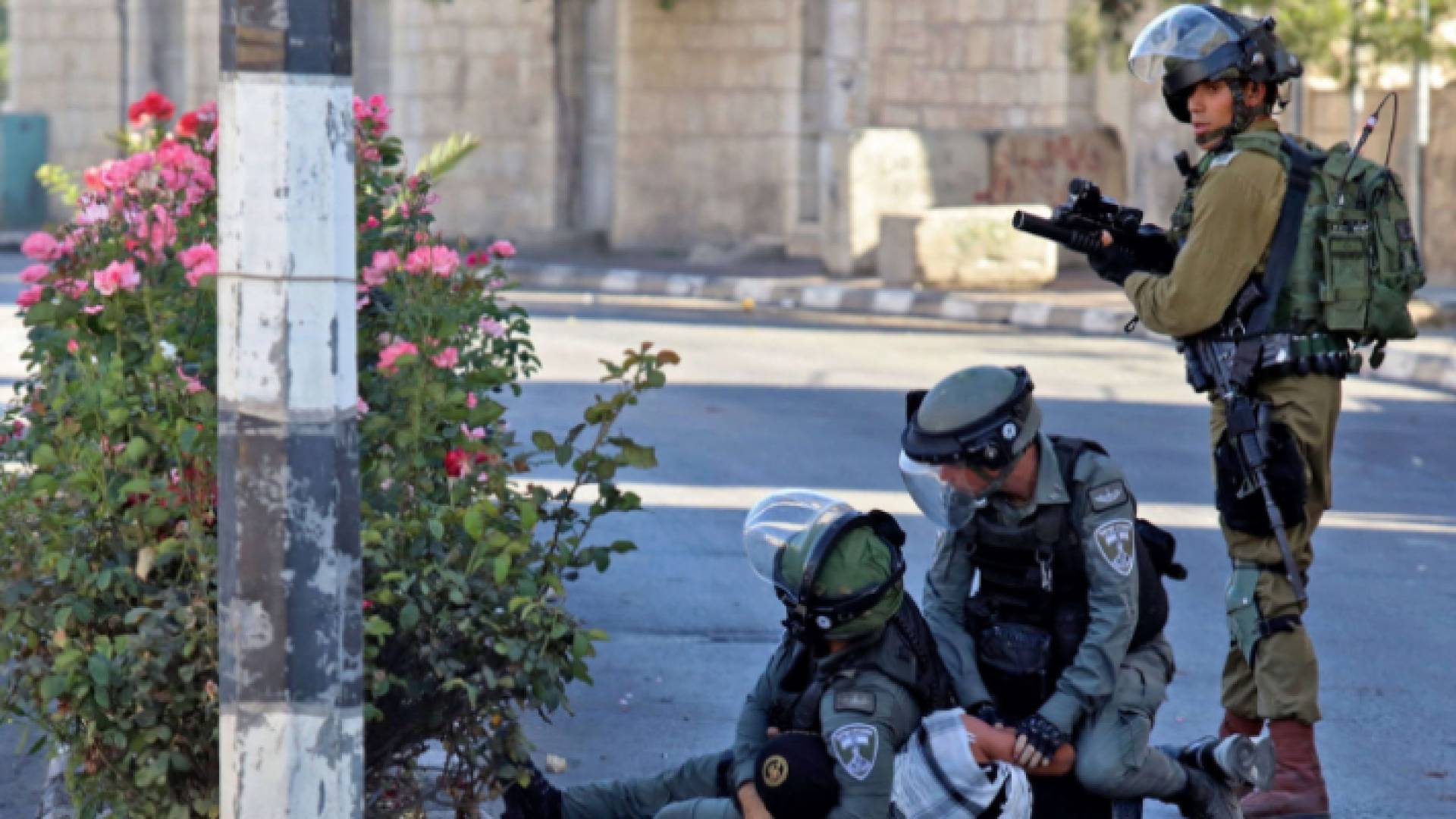 قوات الاحتلال