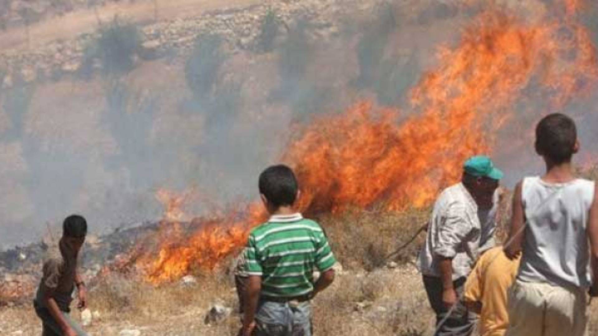 صورة أرشيفية لحريق في أحد الأراضي الزراعية في فلسطين