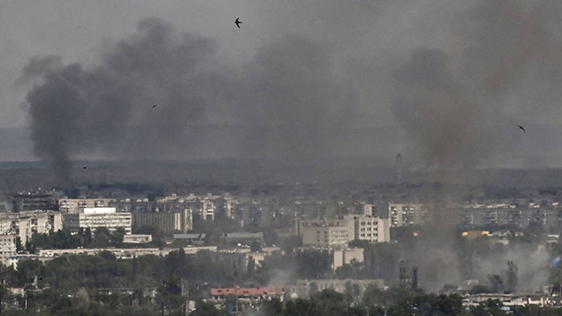 مدينة سيفيرودونتسك