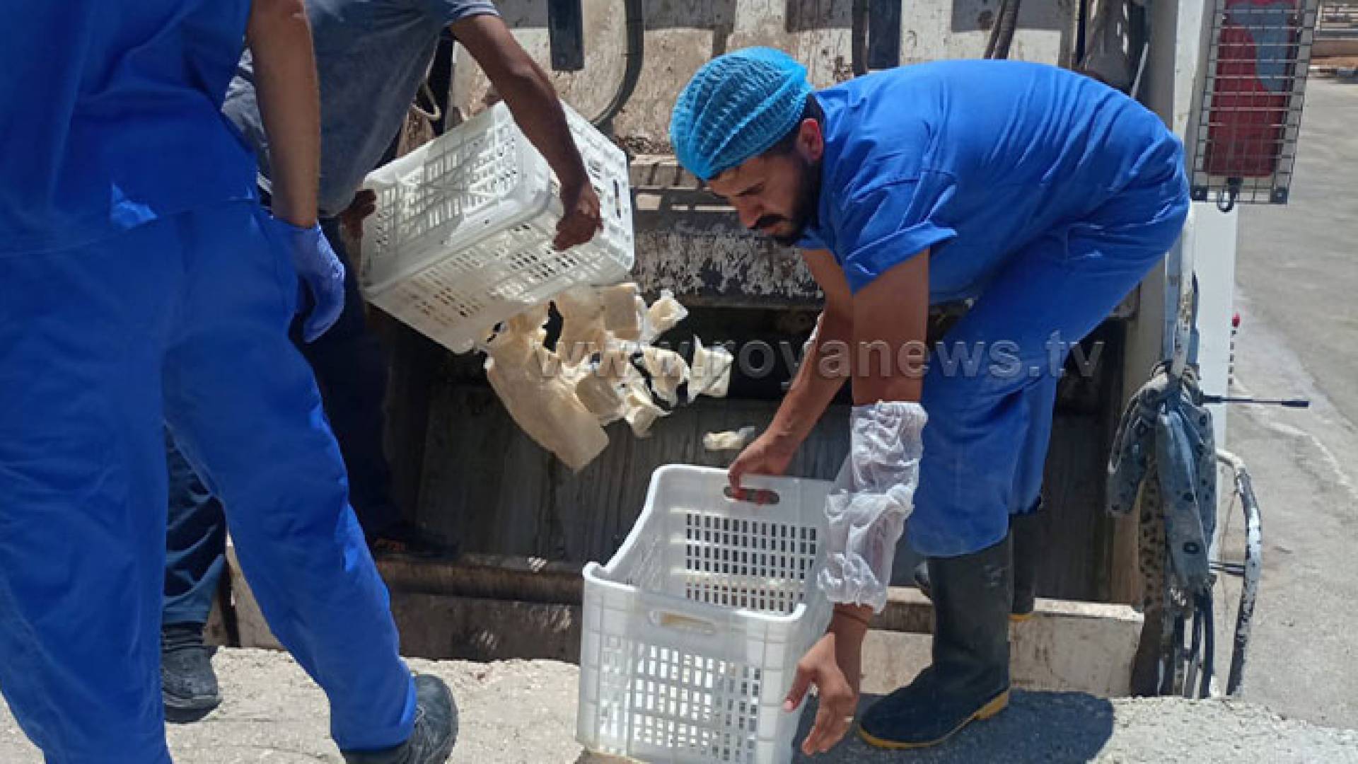 جانب من عمليات إتلاف الأجبان التالفة