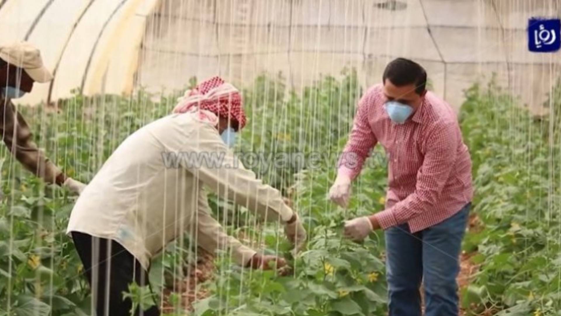 صورة أرشيفية لمزارعين