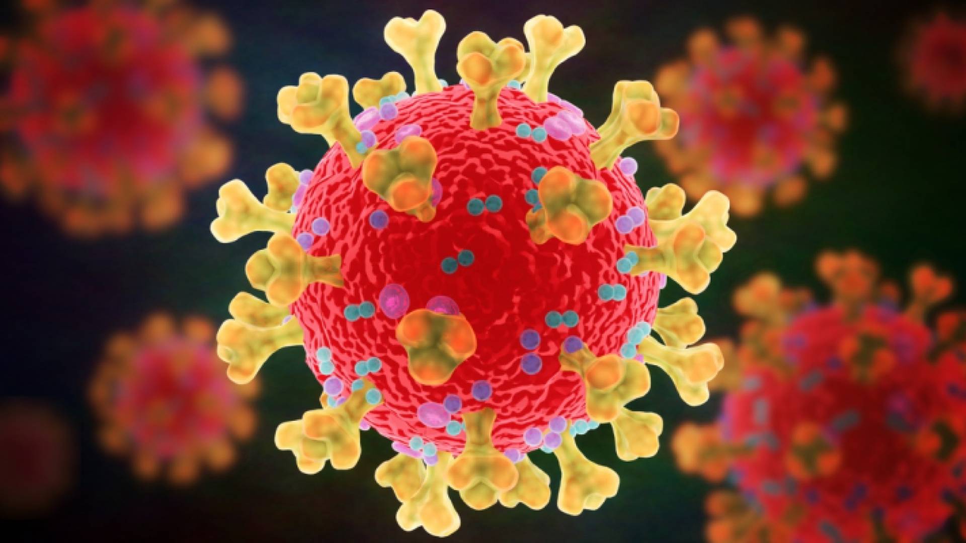 صورة تعبيرية لفيروس كورونا