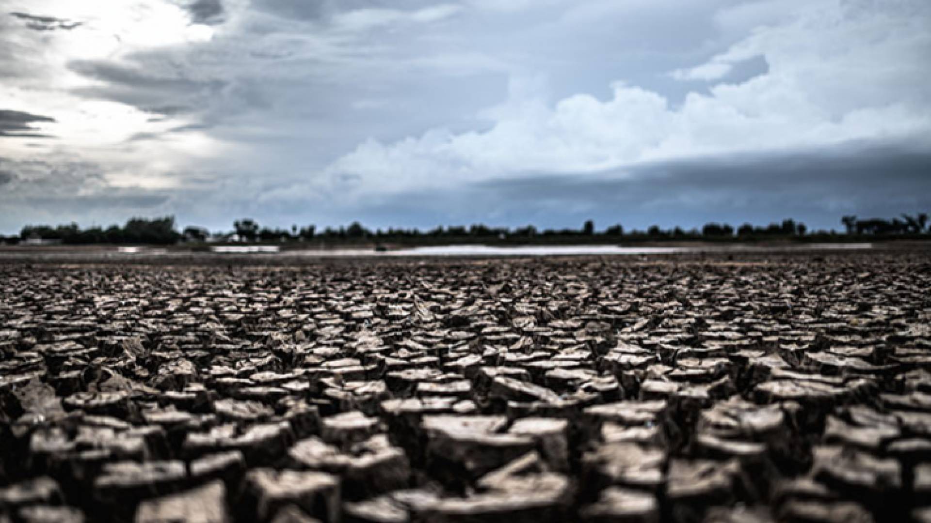 صورة ارشيف للجفاف