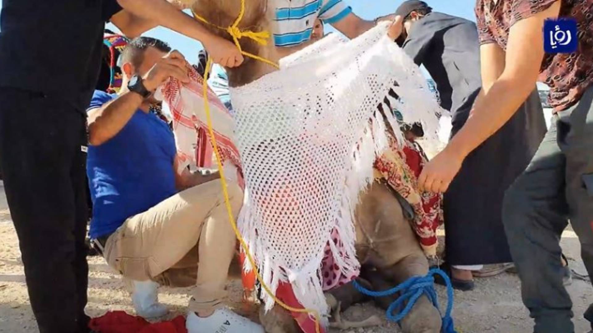 "مسير الناقة"