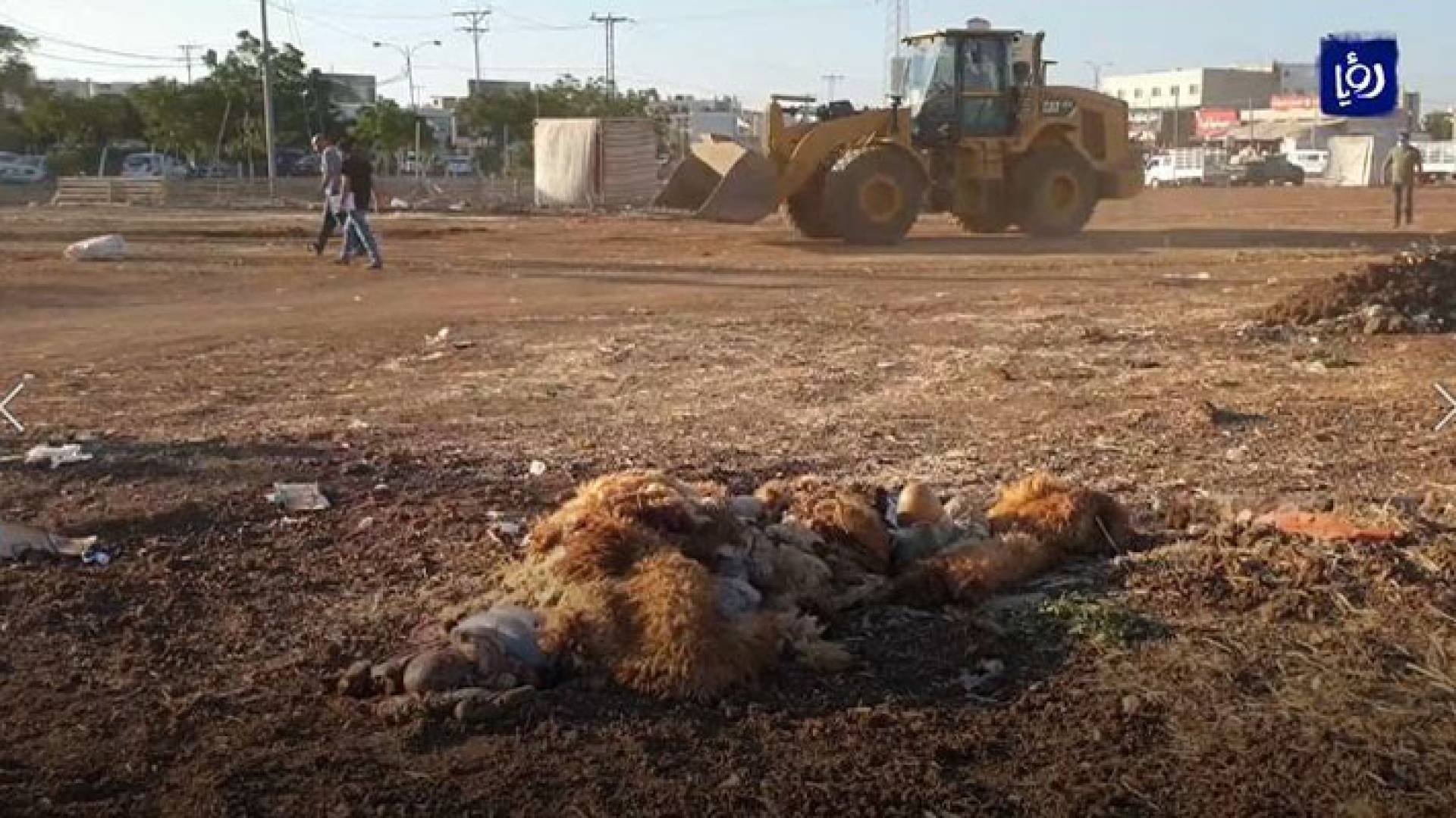 جانب من عمليات تنظيف وإزالة مخلفات الأضاحي