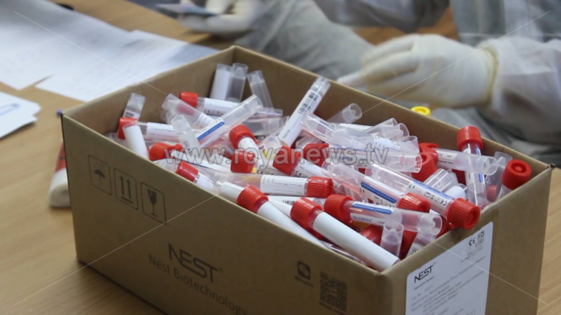 فحوصات كورونا - ارشيفية