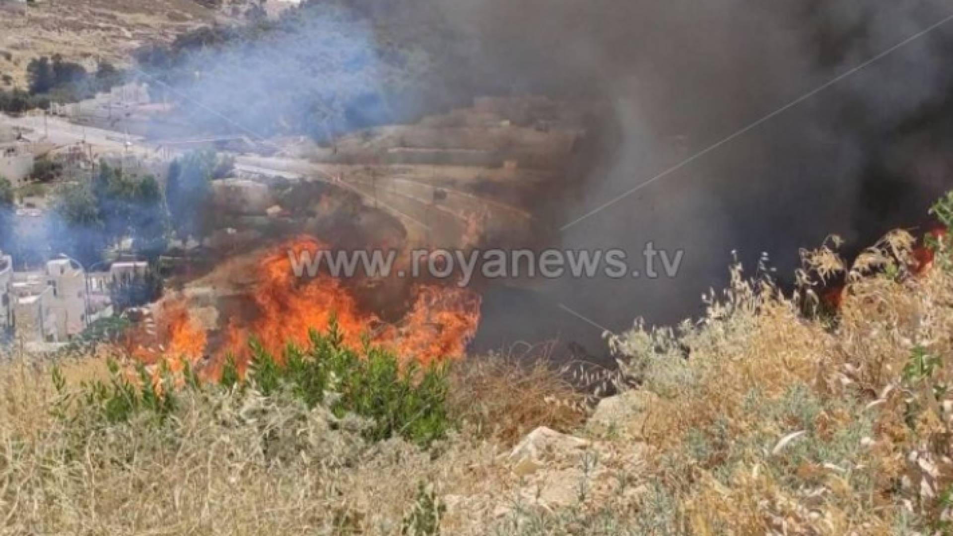 صورة أرشيفية لحريق أعشاب في إحدى المناطق بالعاصمة عمّان