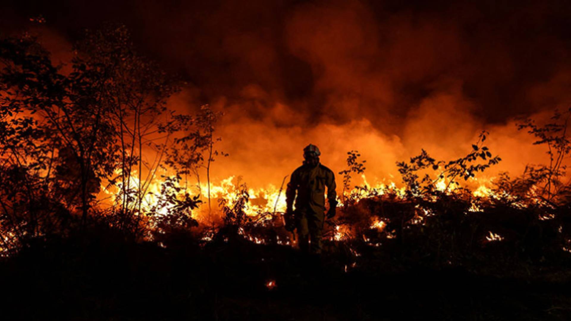 حريق غابة بالقرب من لوكاتس في جيروند ، جنوب غرب فرنسا