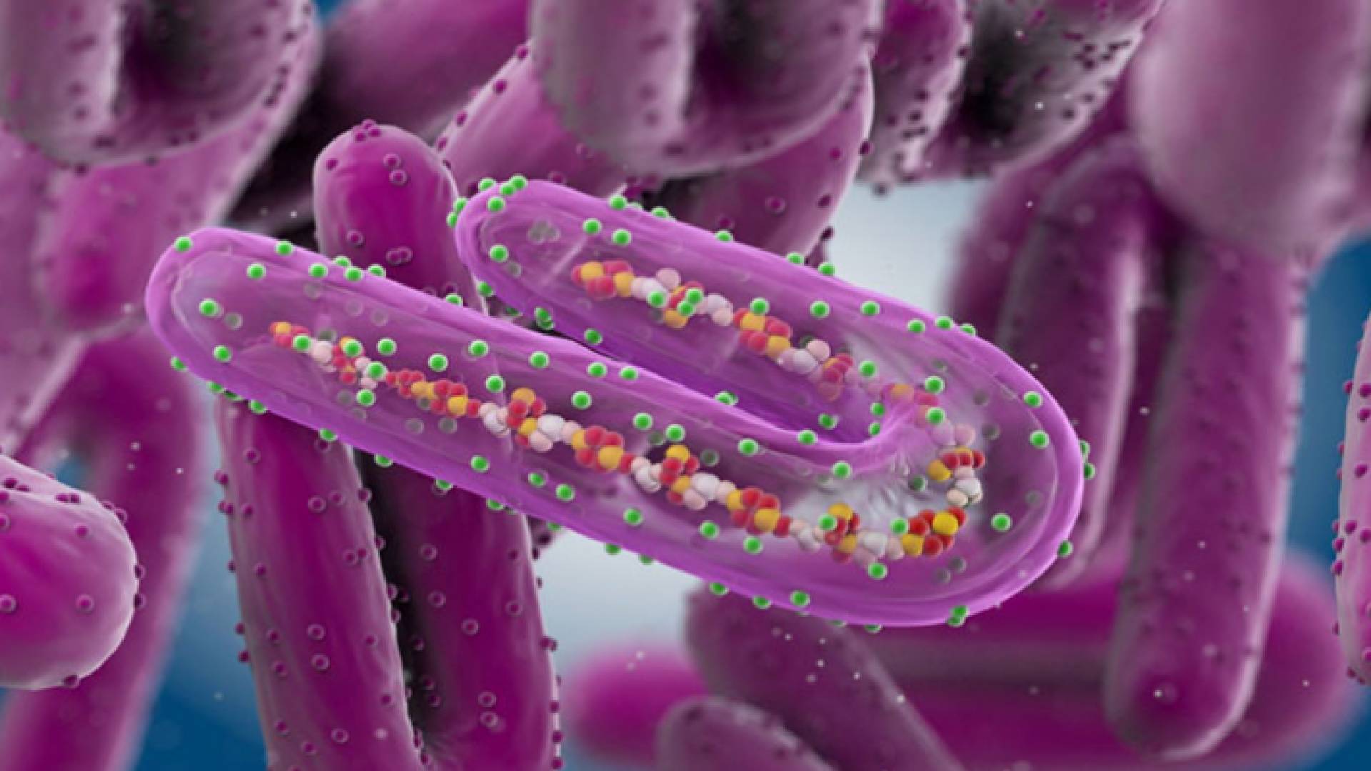 صورة تعبيرية لفيروس