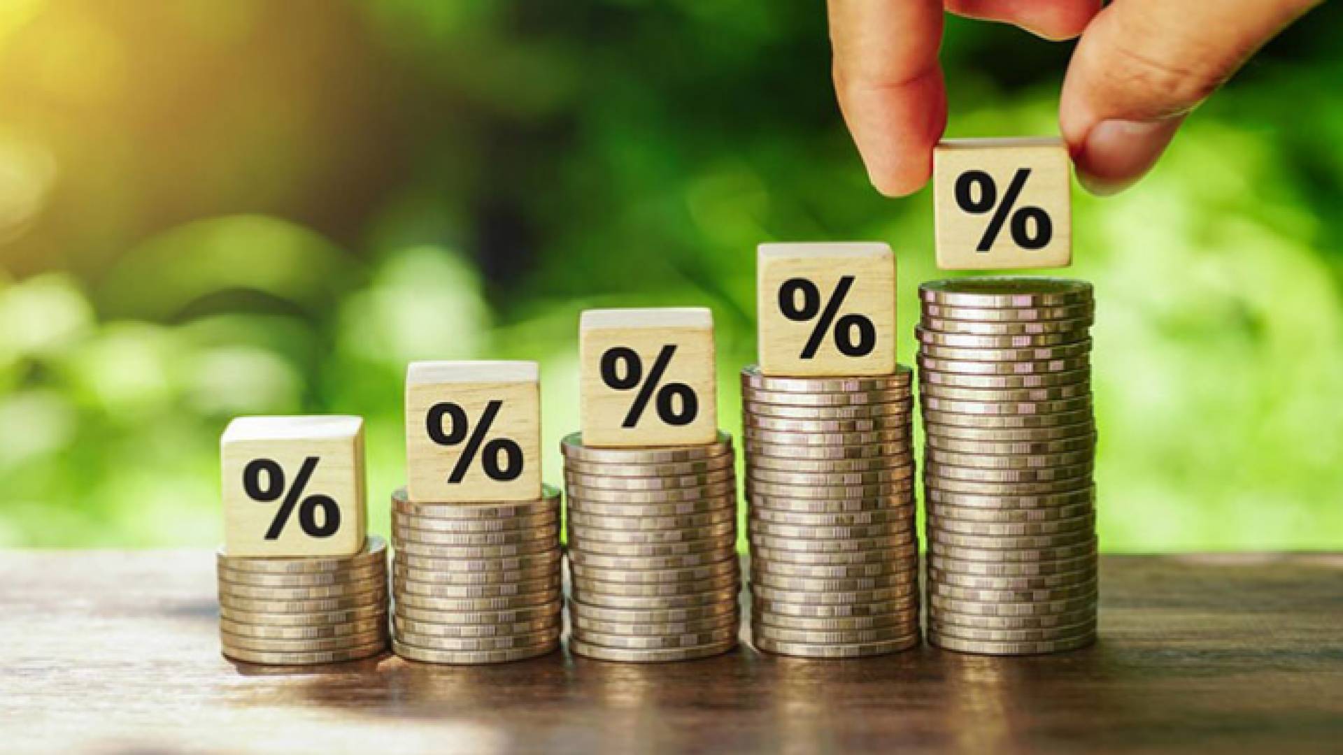 صورة تعبيرية لسعر الفائدة