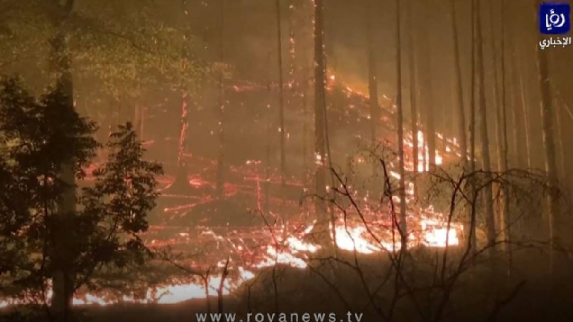 غابات في التشيك تحترق