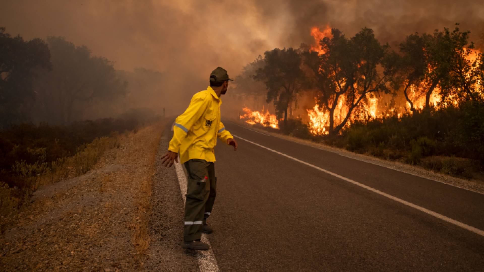حريق في إحدى الغابات في المغرب