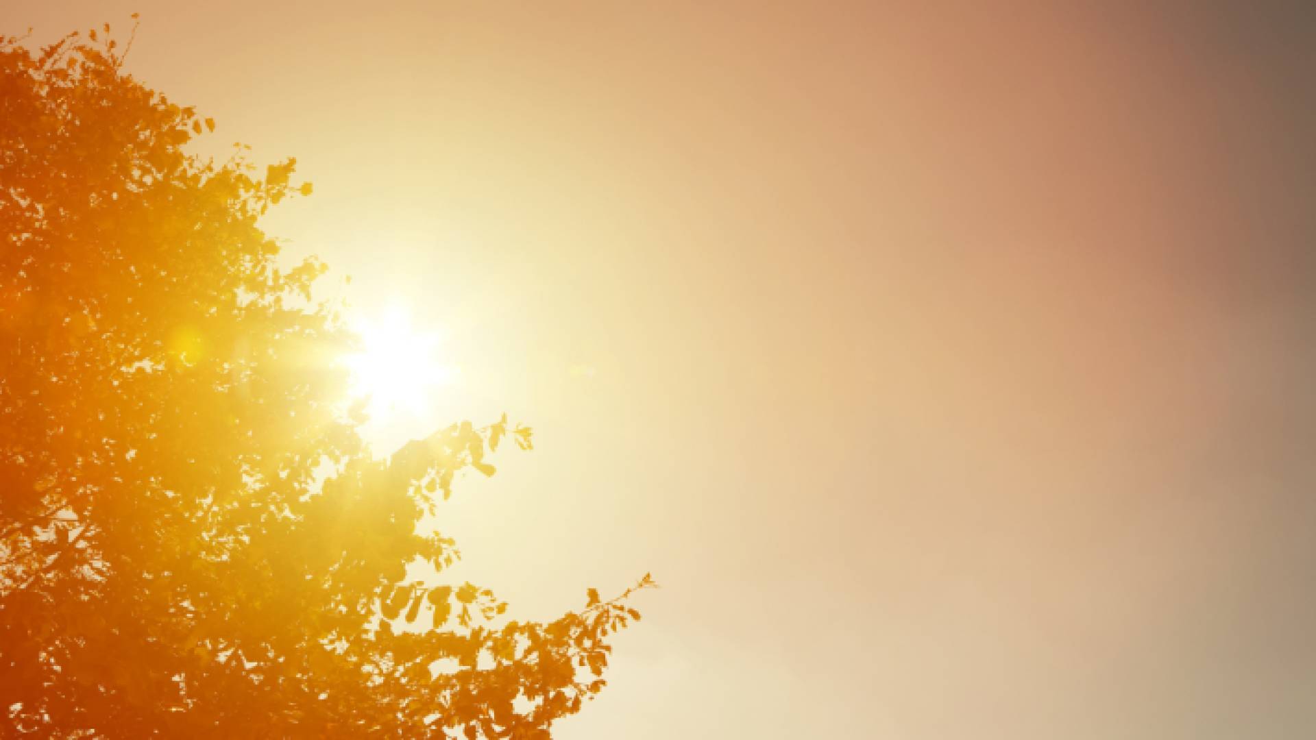 أشعة الشمس الحارقة