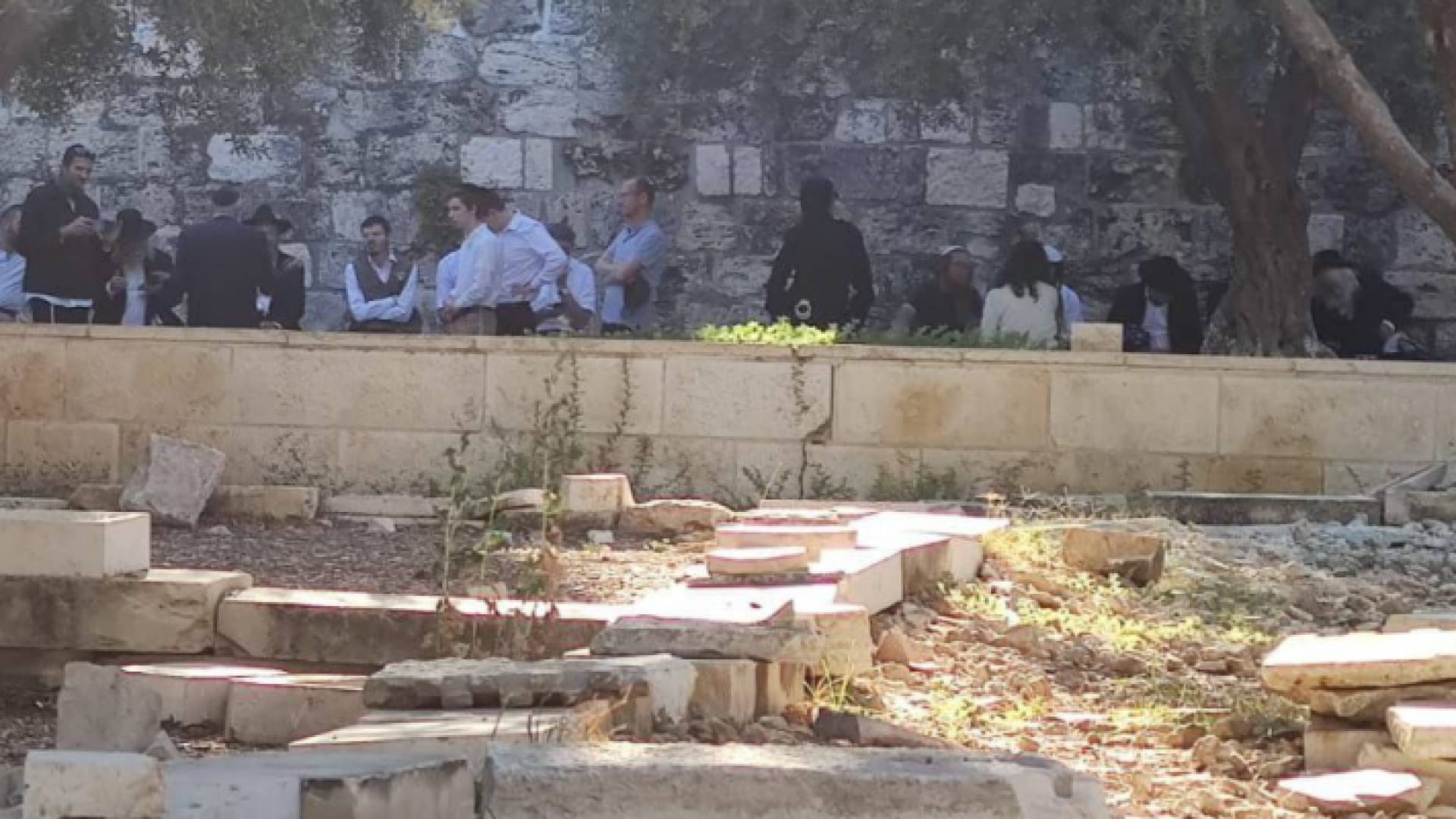 الصورة من اقتحامات المستوطنين