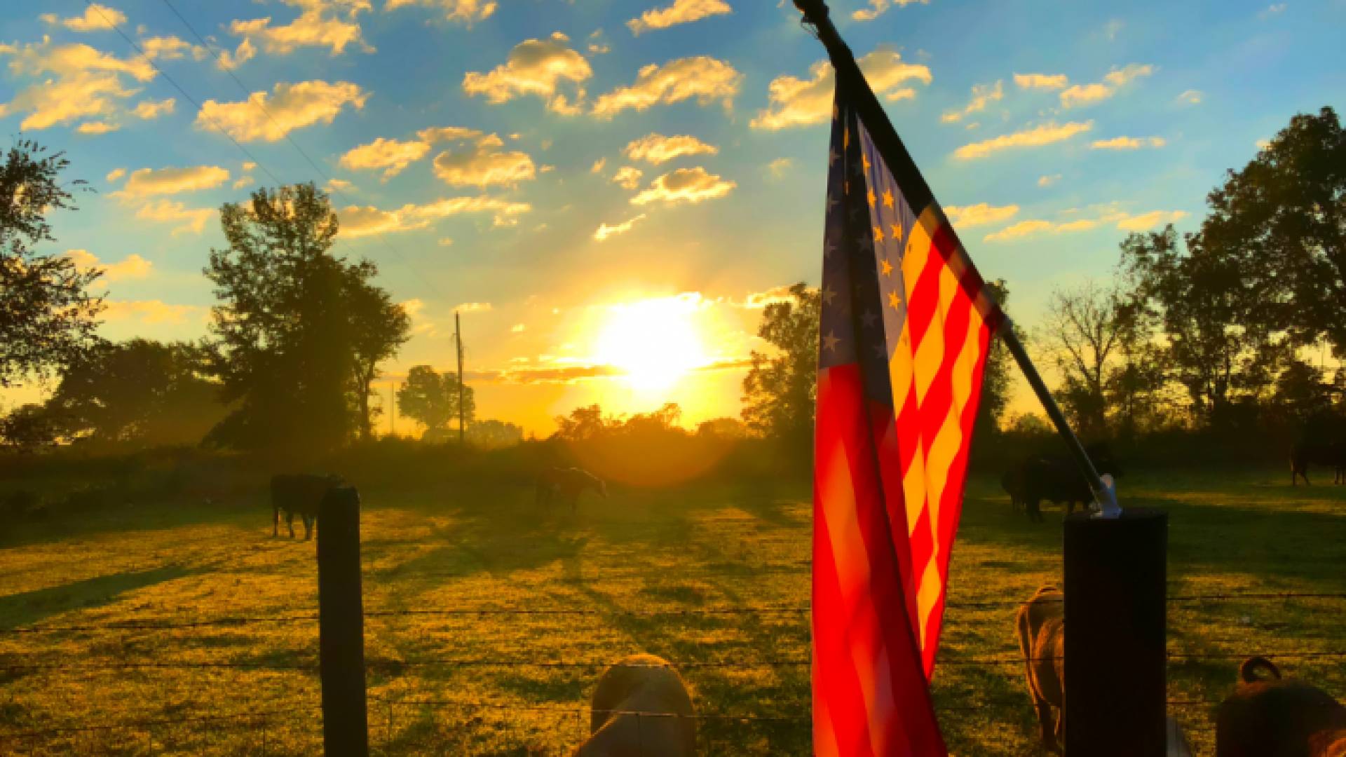 علم الولايات المتحدة الأمريكية