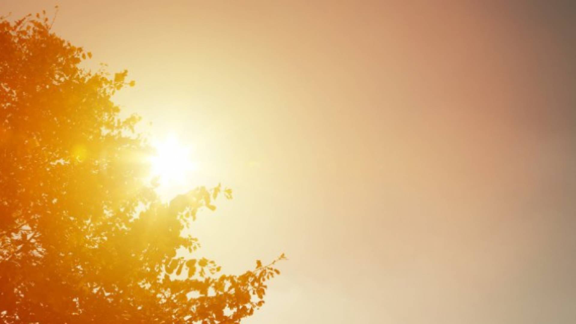 صورة توضيحية لأشعة الشمس