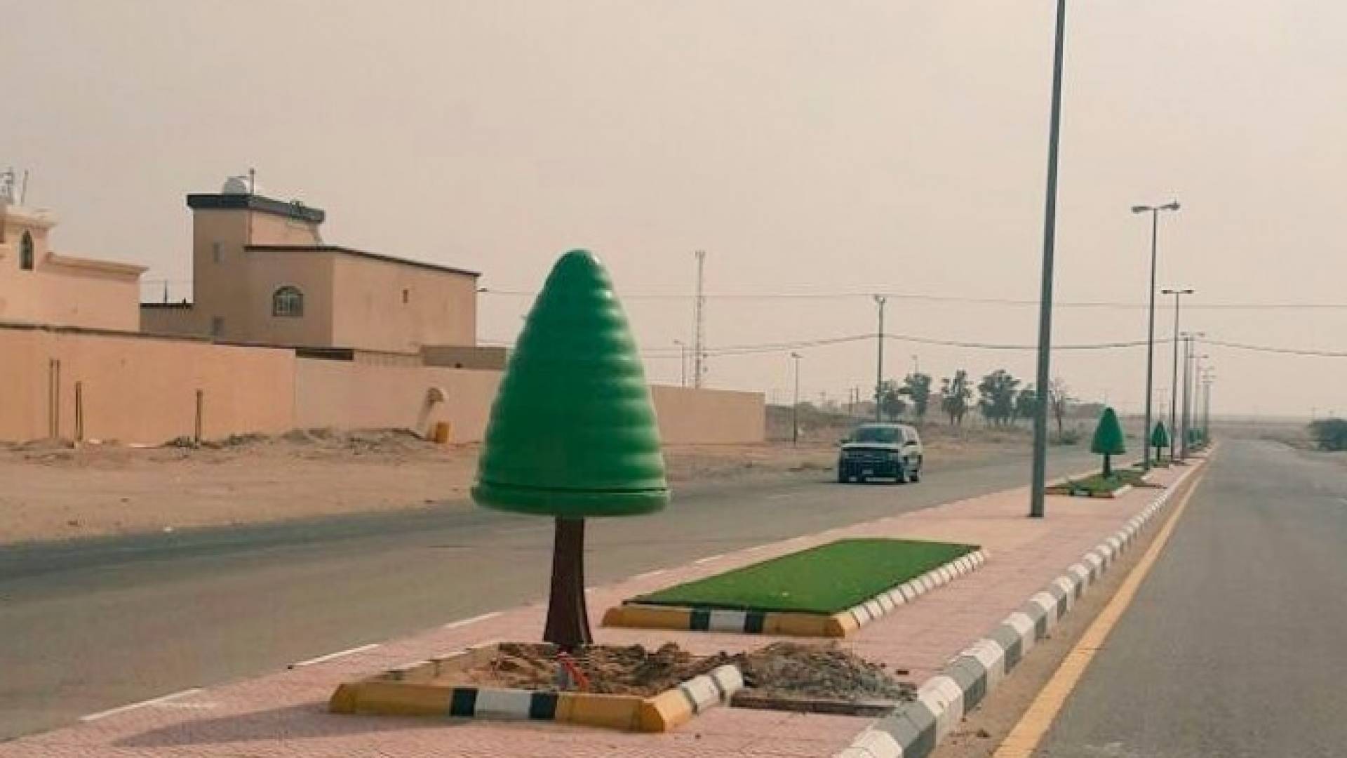 صورة الشجر المتداولة عبر مواقع التواصل