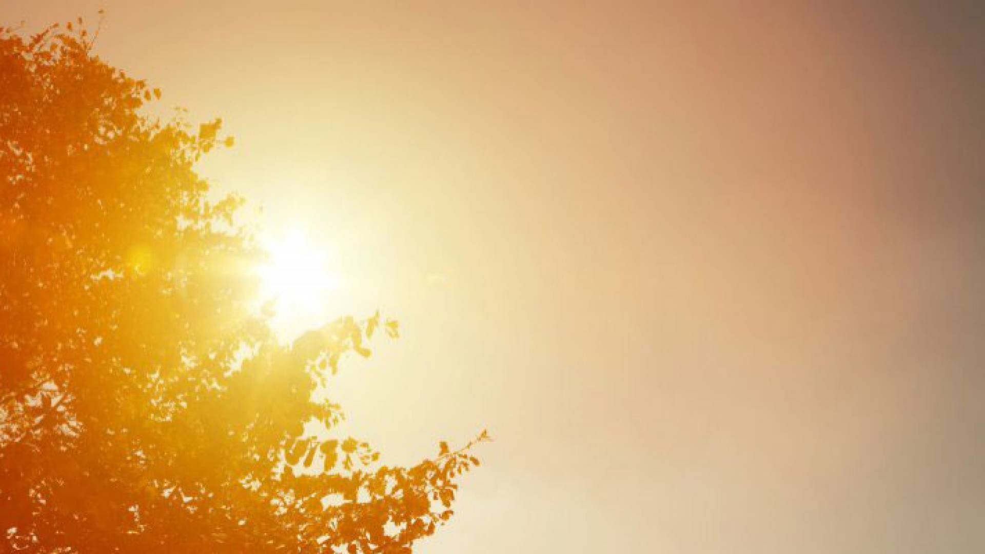 صورة عامة للحالة الجوية في فصل الصيف