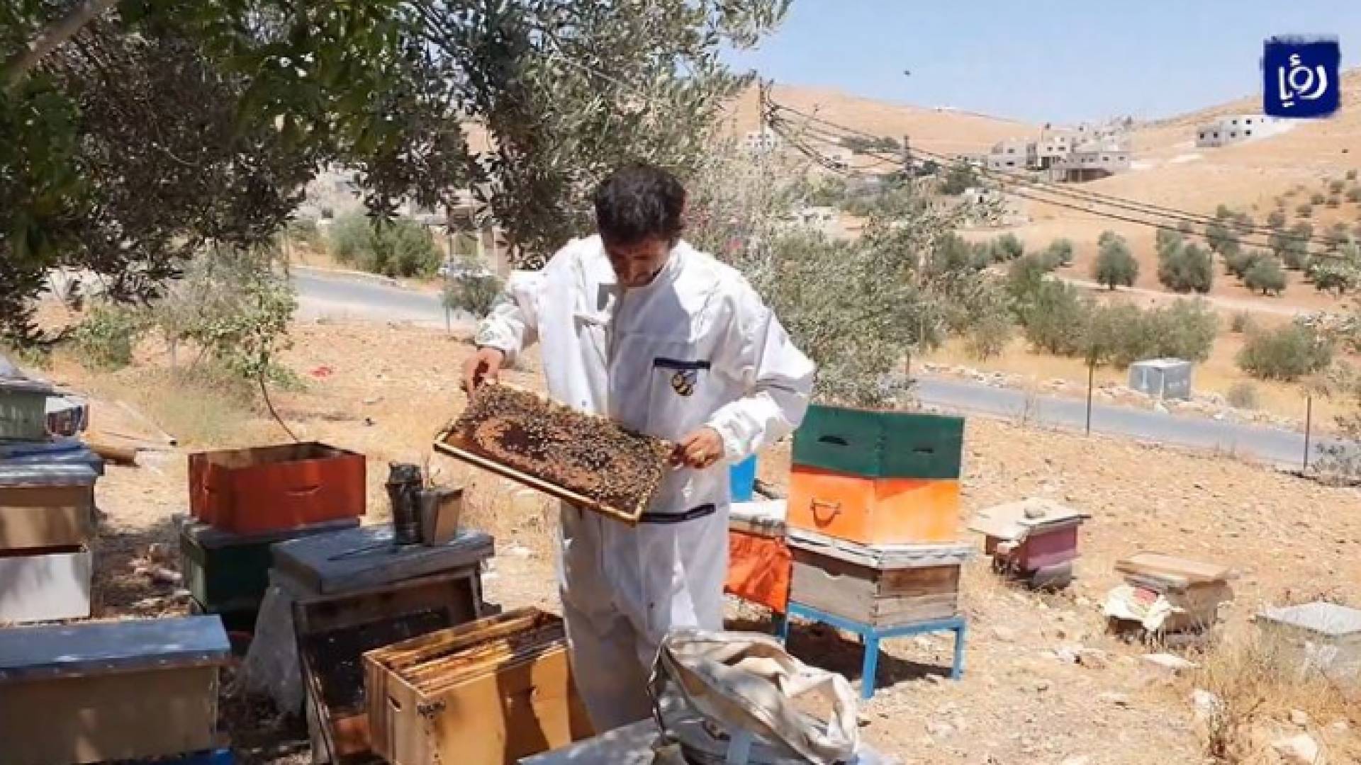 بدر الخوالدة