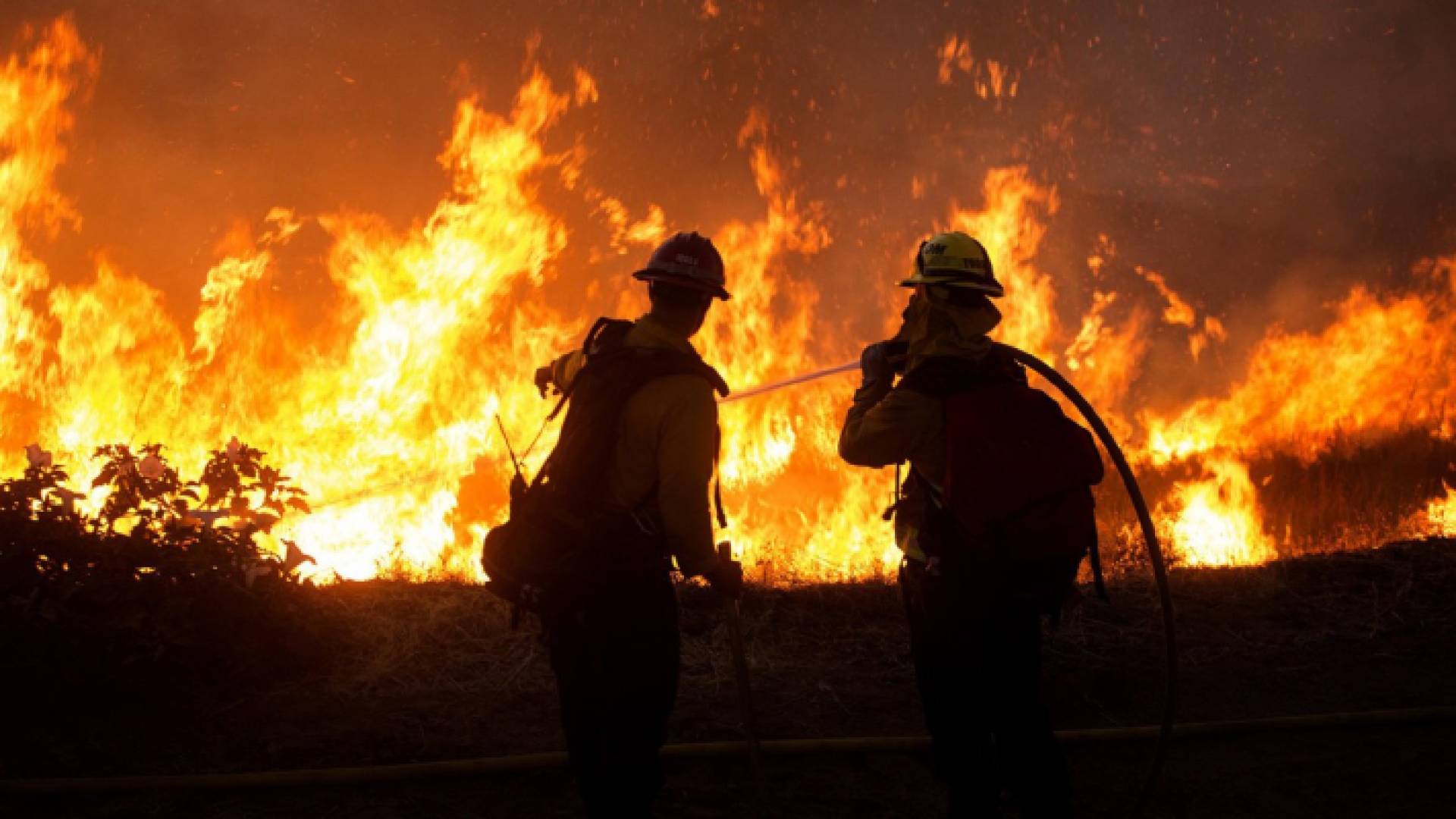 عناصر من الإطفاء أثناء إخماد حريق في إحدى غابات كاليفورنيا