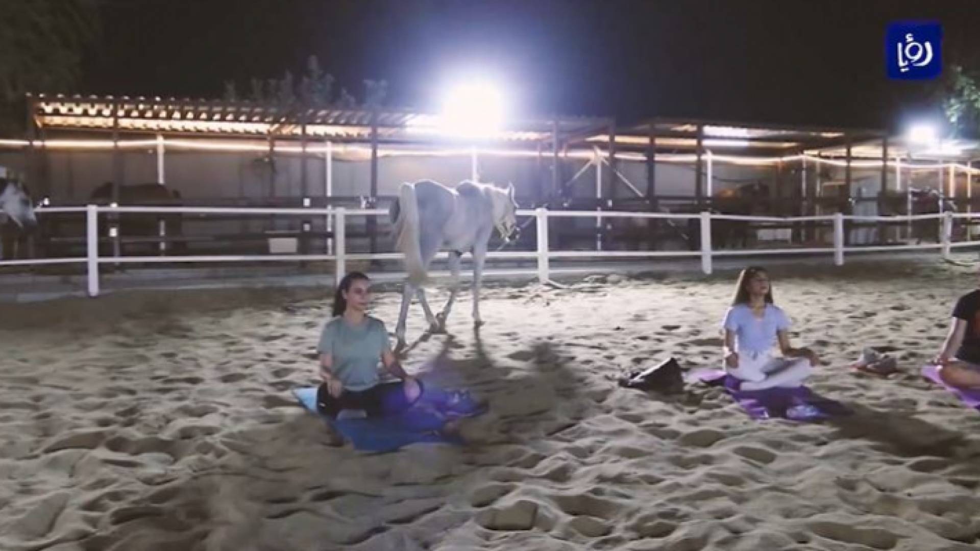 رياضة اليوغا برفقة الخيول