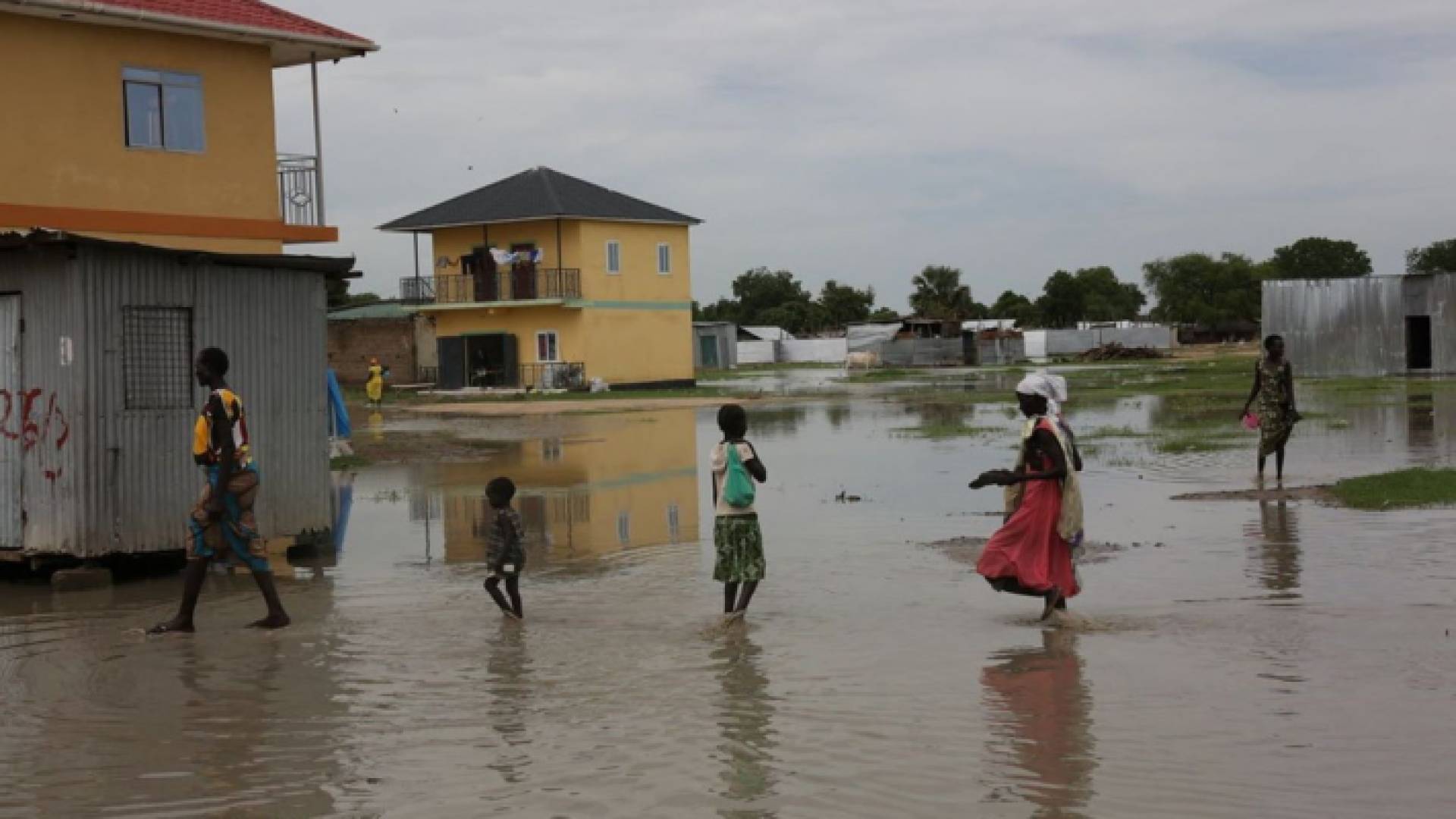 من الأمطار الغزيرة في النيجر