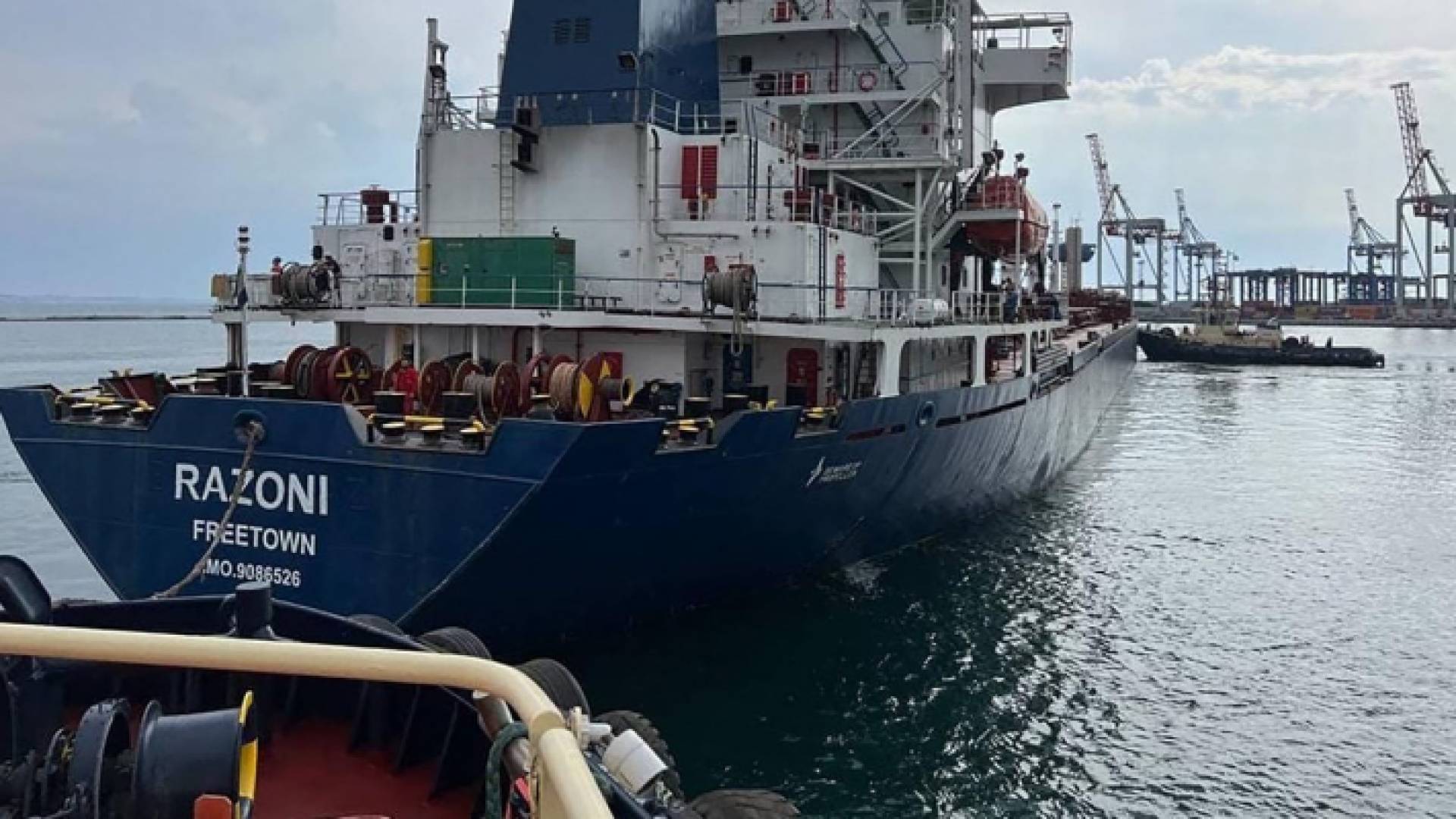 سفينة حبوب أوكرانية