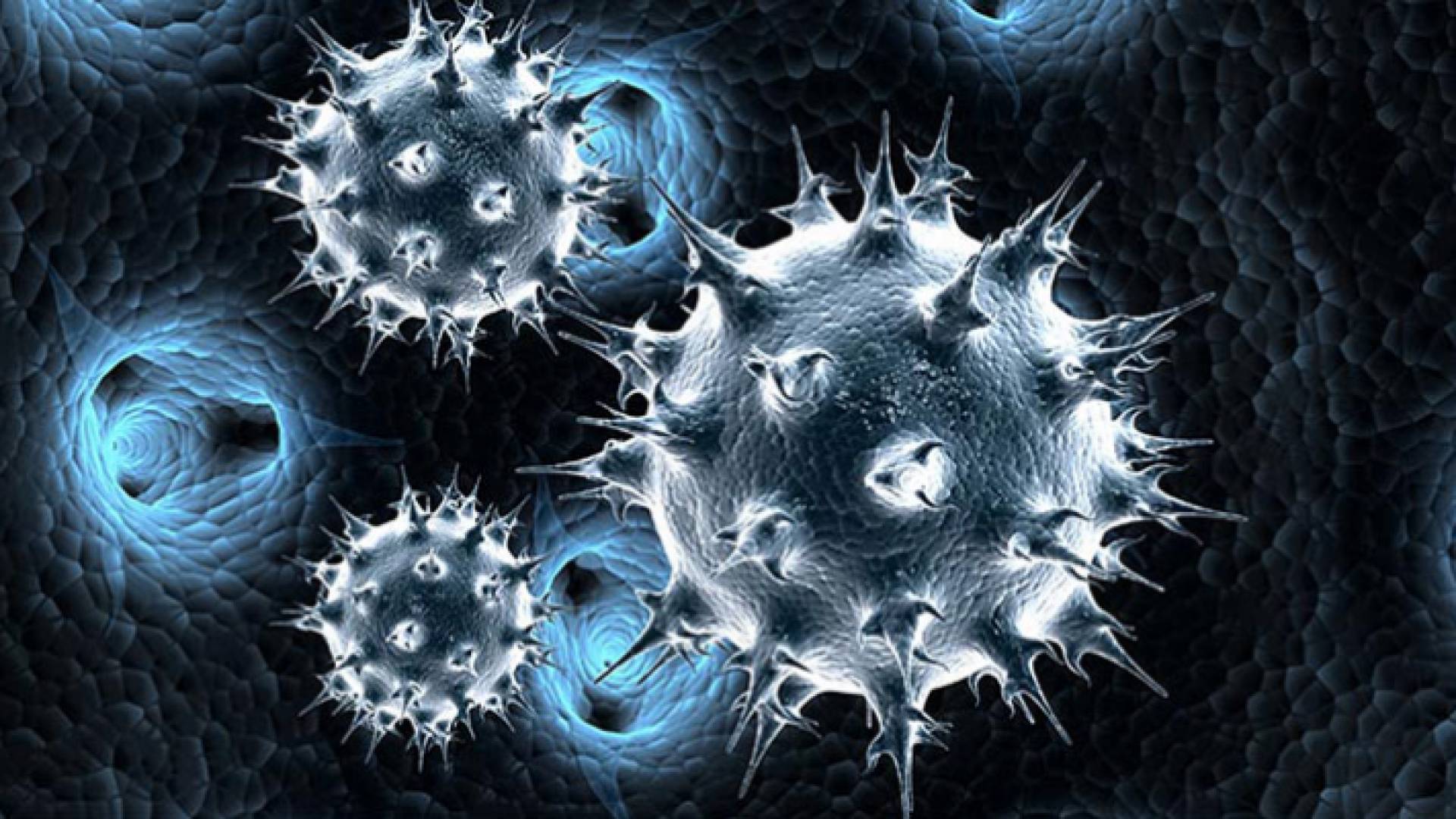 صورة تعبيرية لفيروس