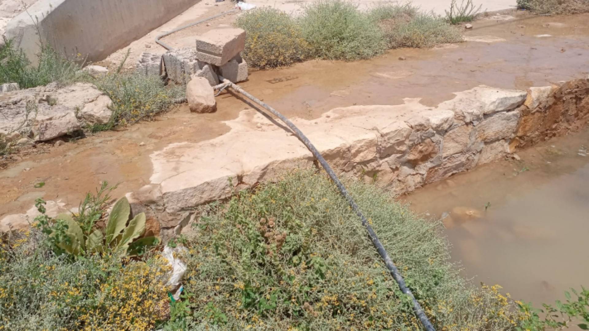 جانب من الاعتداءات التي ضبطت في معان