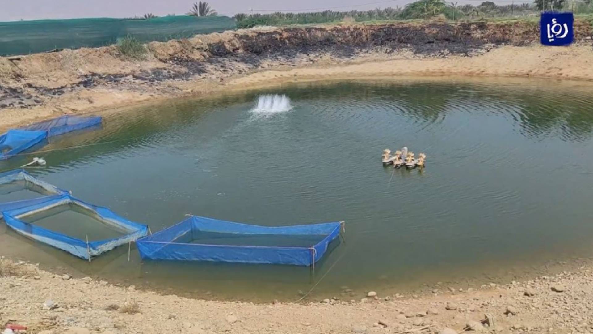 مزارعو الأسماك يشكون نقص وغلاء المياه