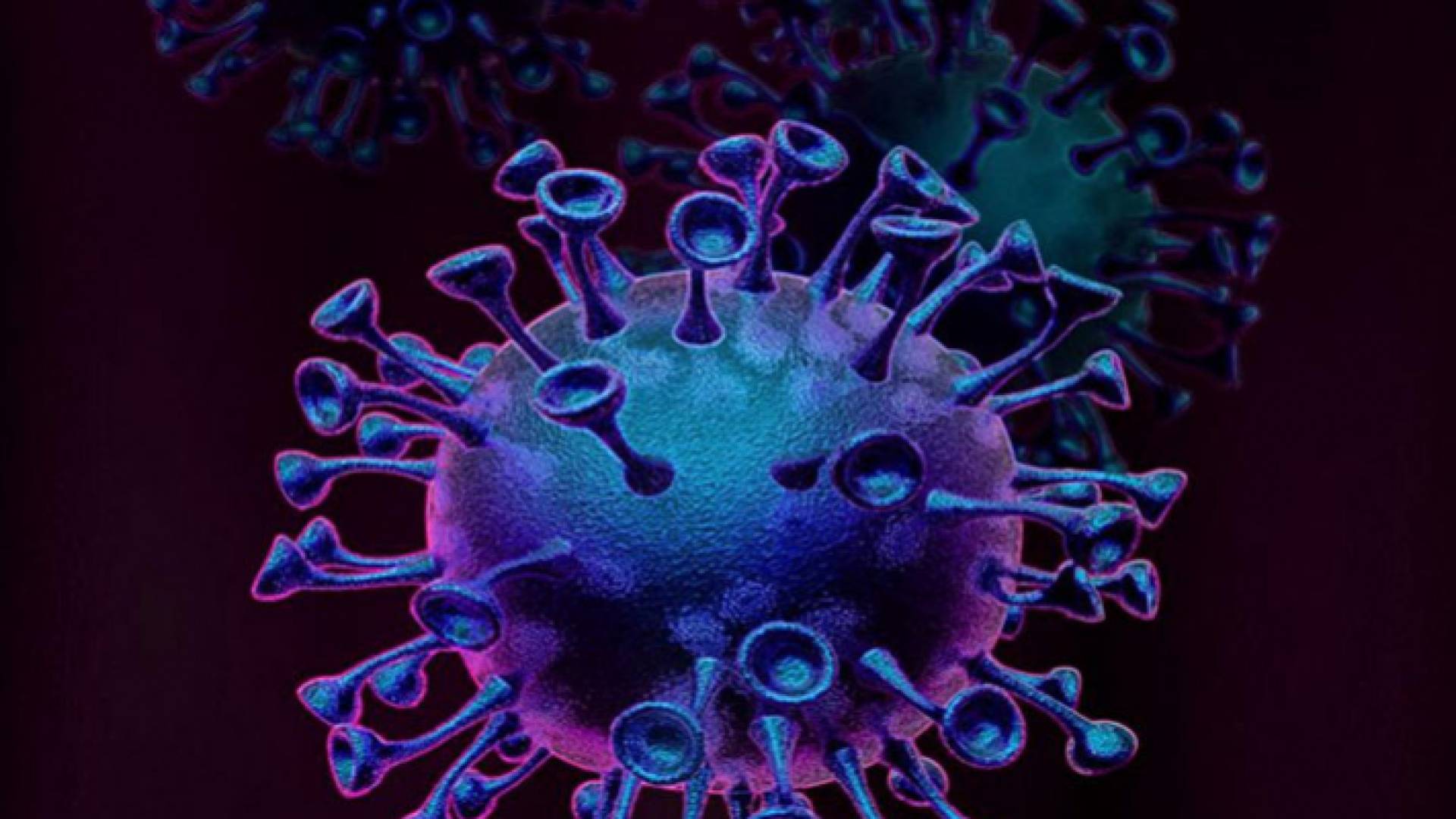 صورة تعبيرية لفيروس