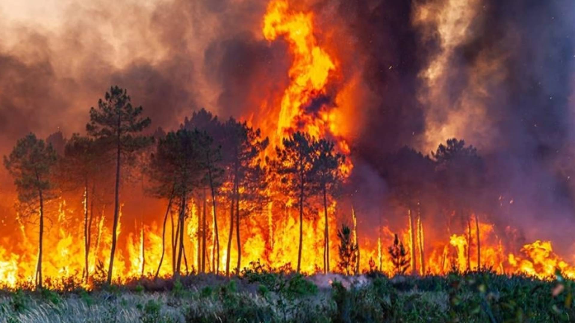 صورة أرشيفية لحريق في غابة بفرنسا