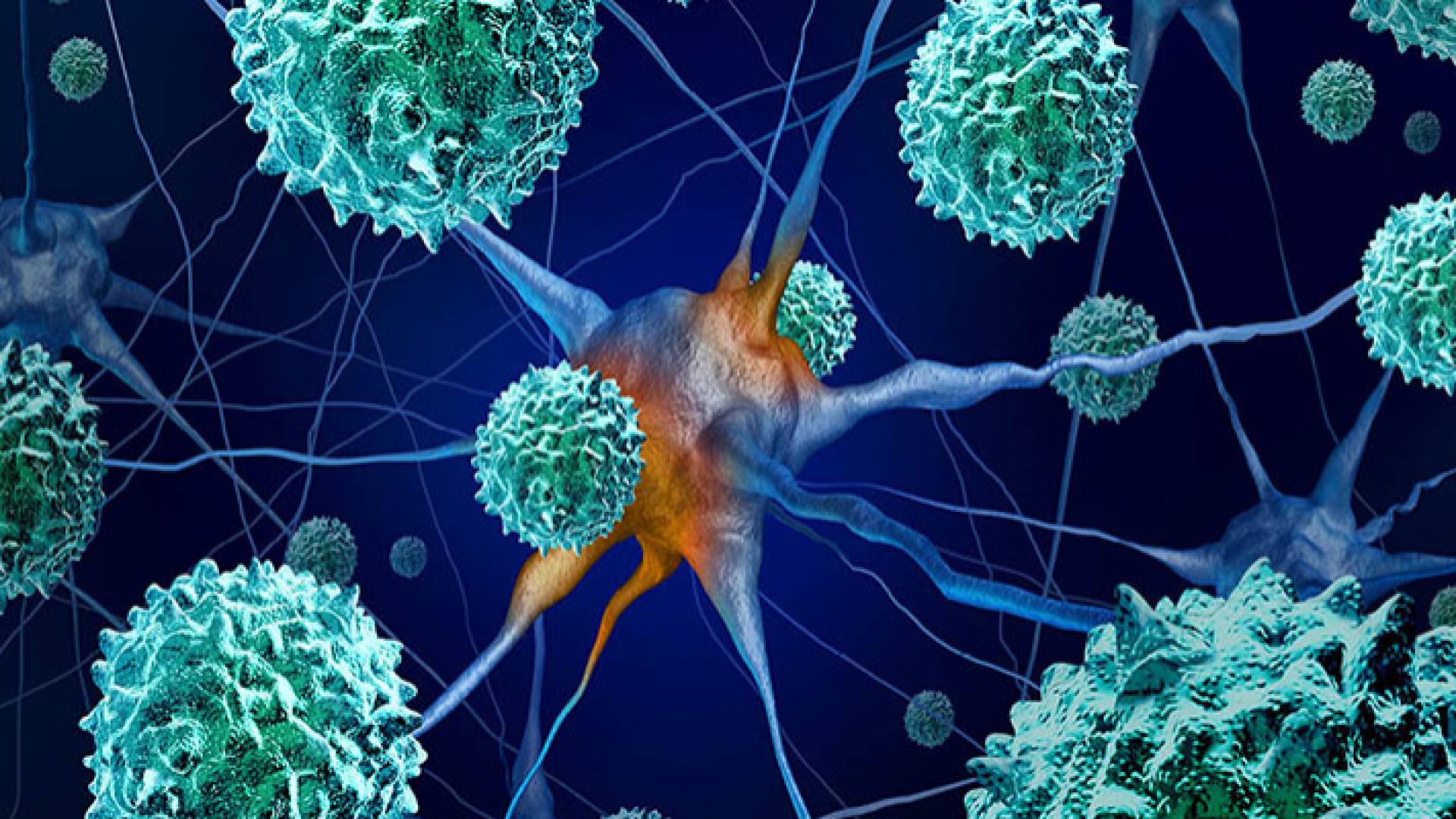 صورة تعبيرية لفيروس