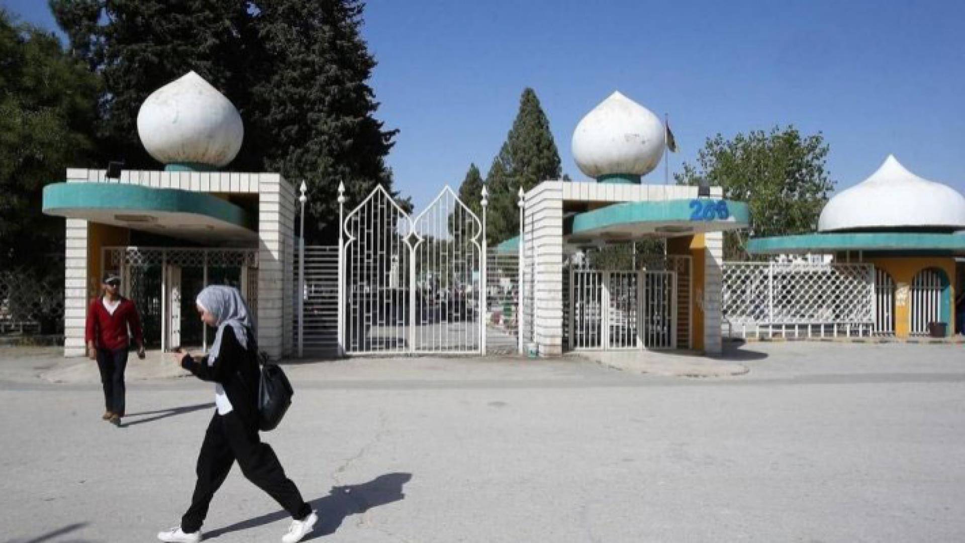 الجامعة الأردنية