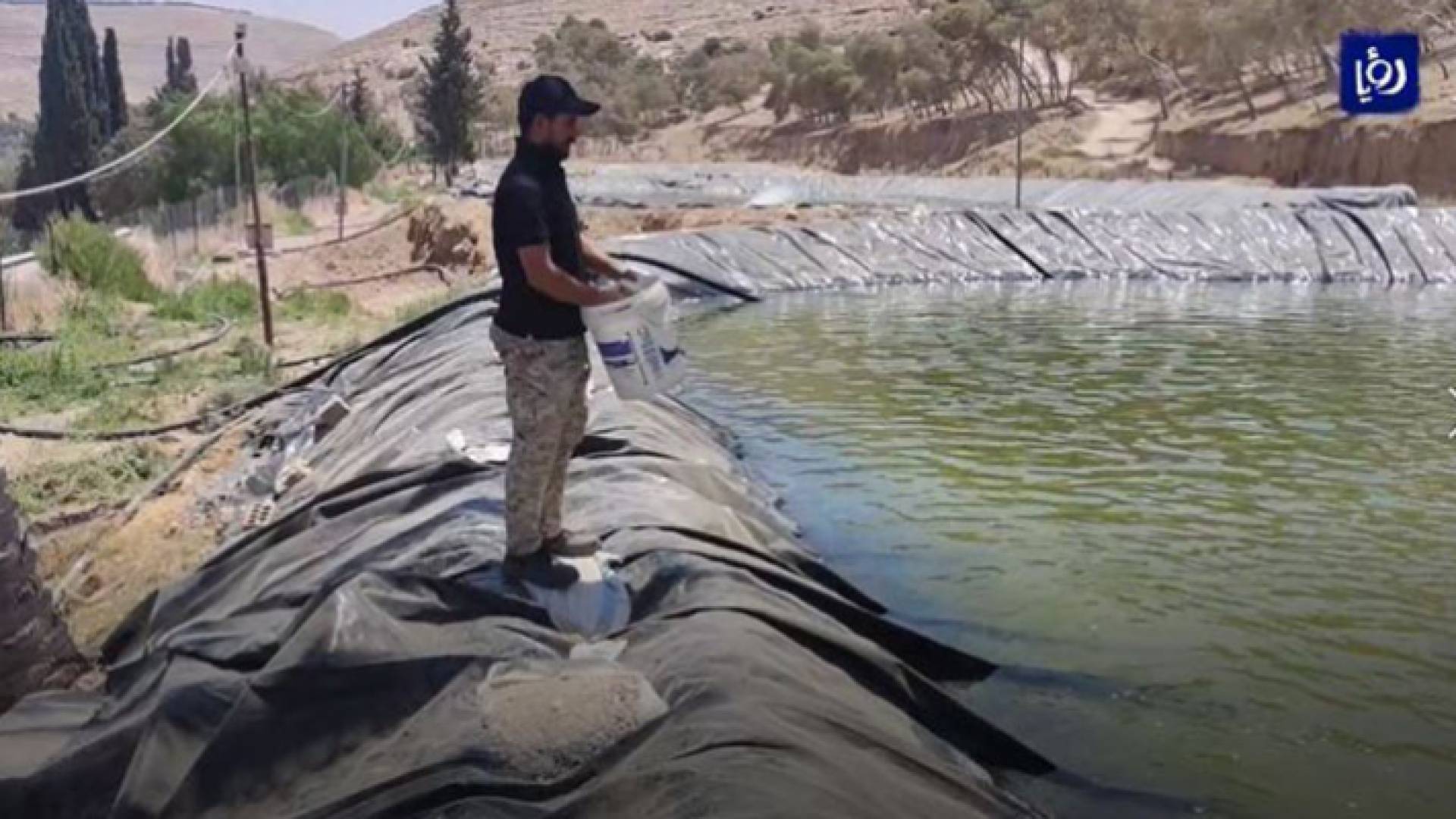 أحد الشبان يقوم بإطعام الأسماك في البركة