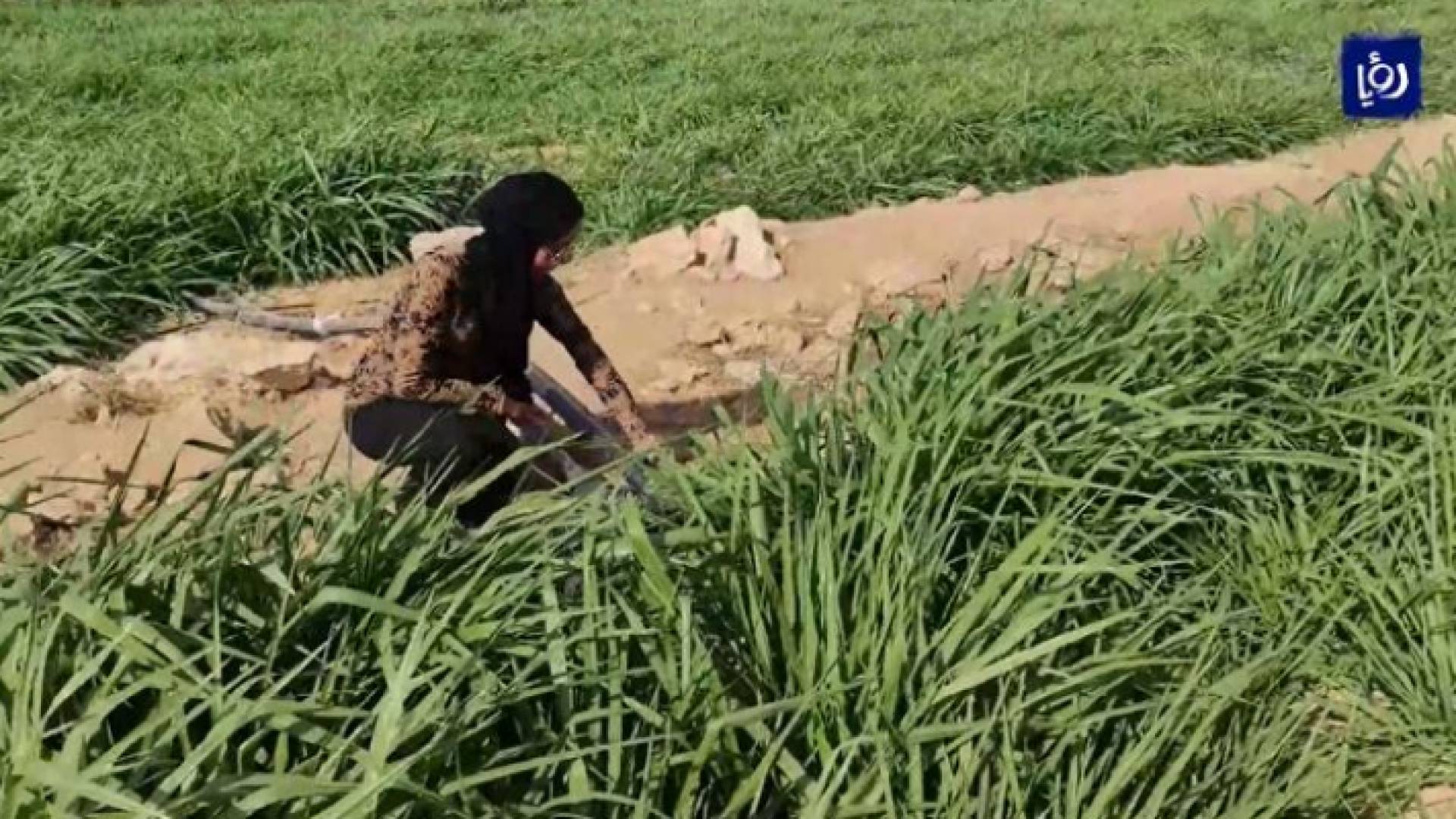 المهندسة نورا الخريشا