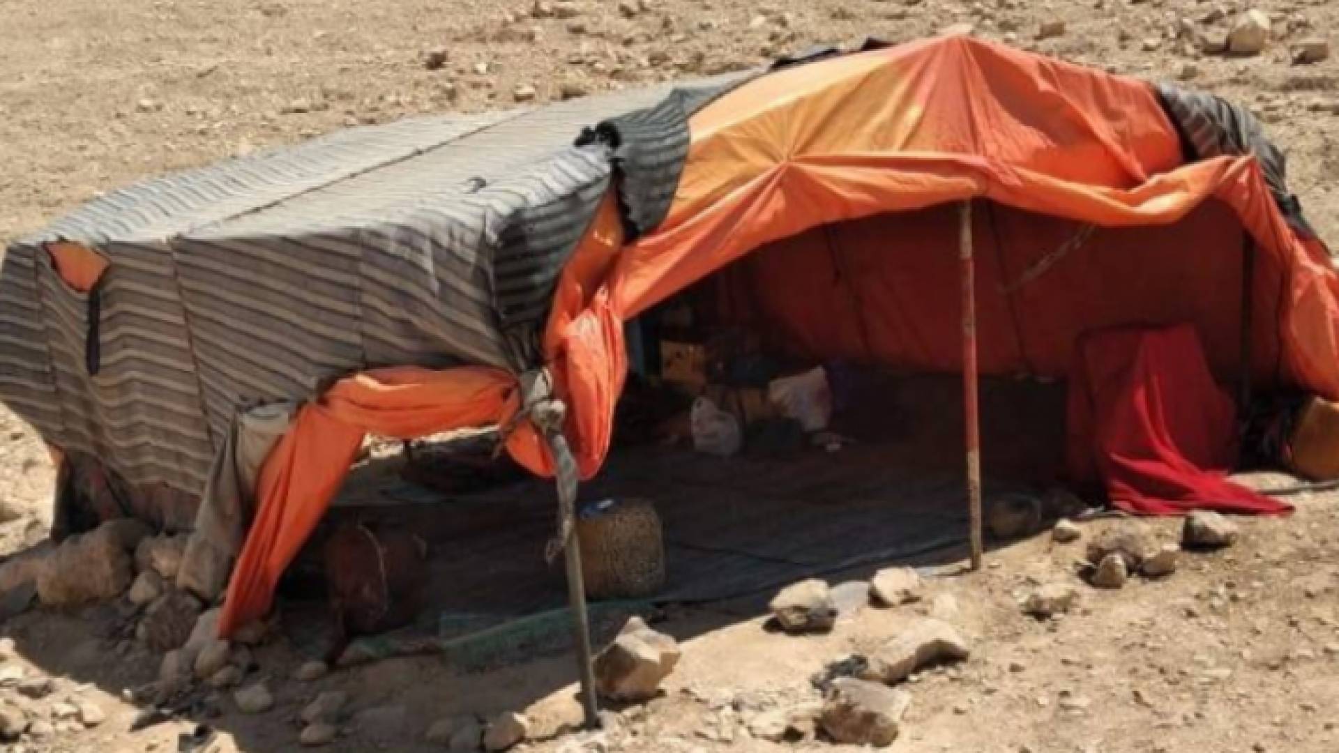 صورة للخربوش المذكور