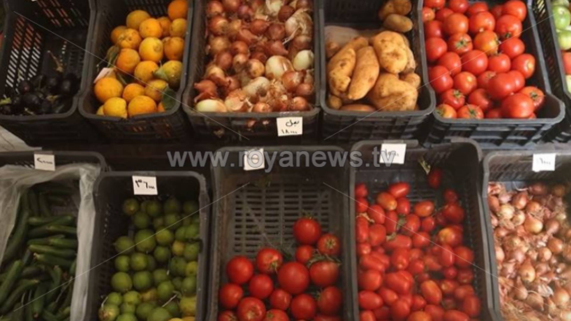 صورة توضيحية لأصناف من الخضراوات