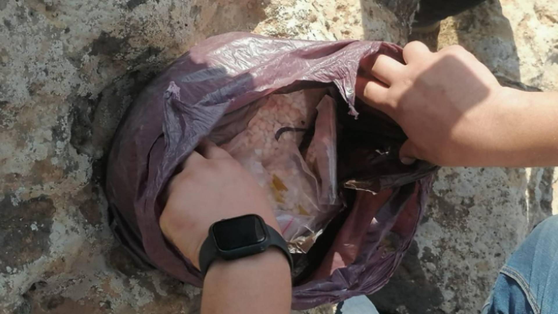 صورة للمضبوطات