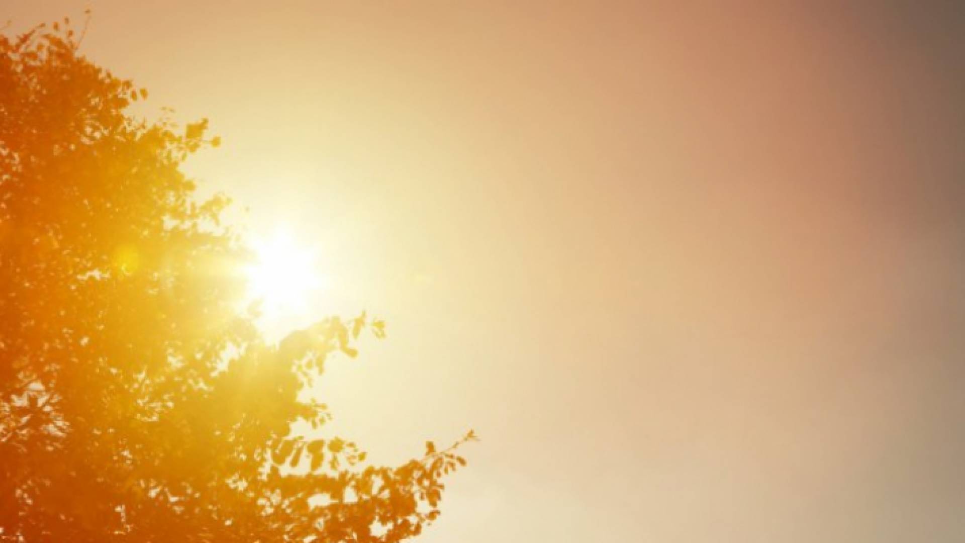 صورة توضيحية لأشعة الشمس