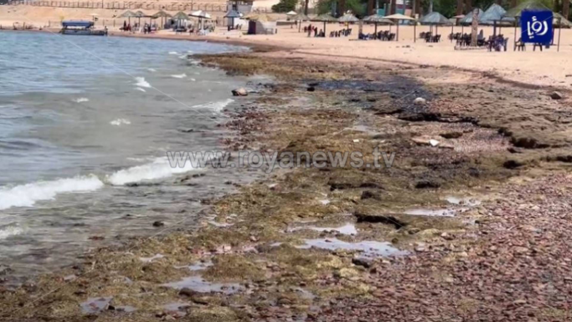 صورة توضيحية للزيت المنسكب من باخرة العقبة