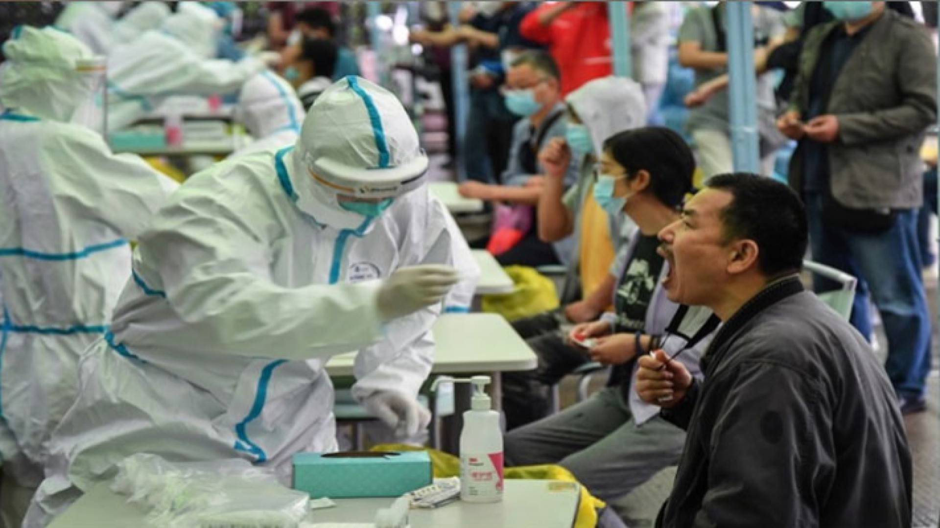 فرق التقصي الوبائي