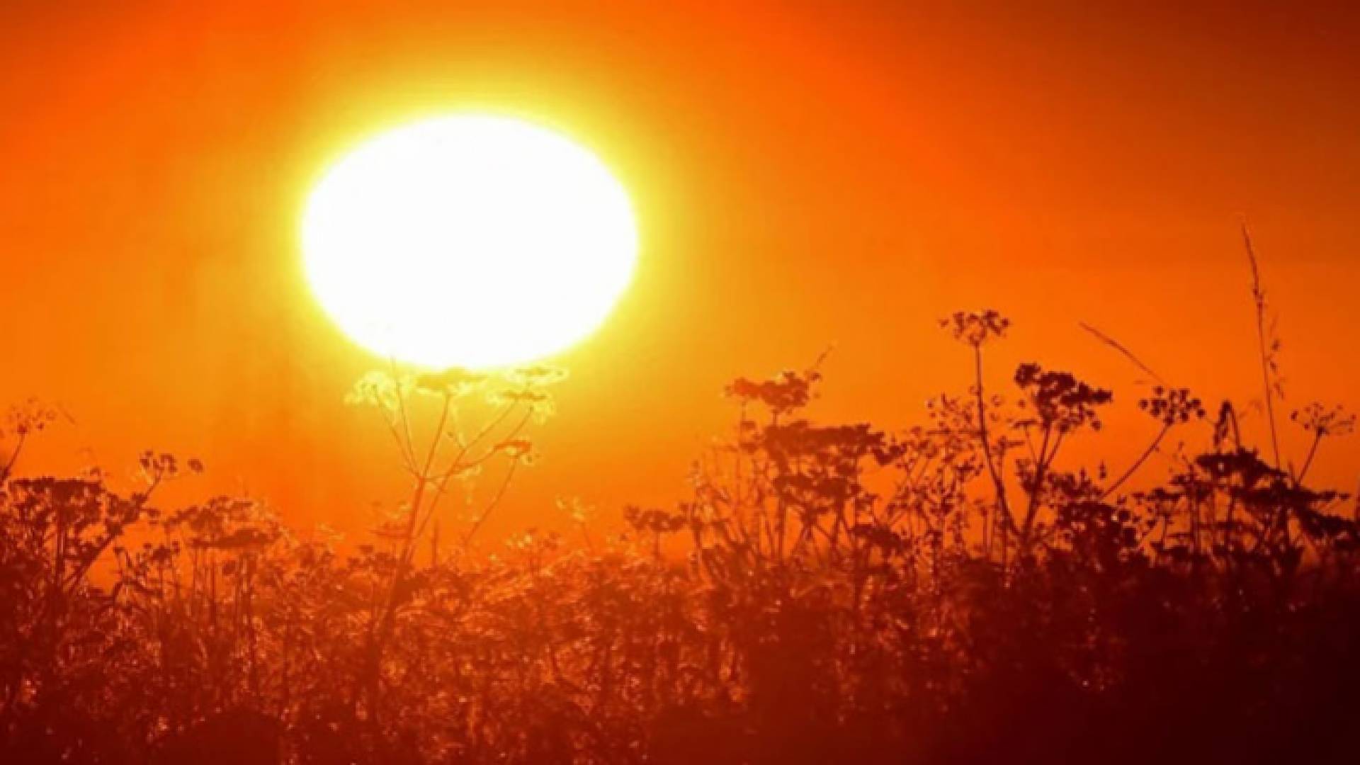 صورة أرشيفية لأجواء حارة