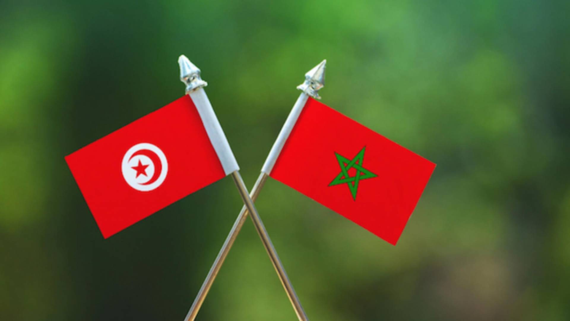 علما تونس والمغرب