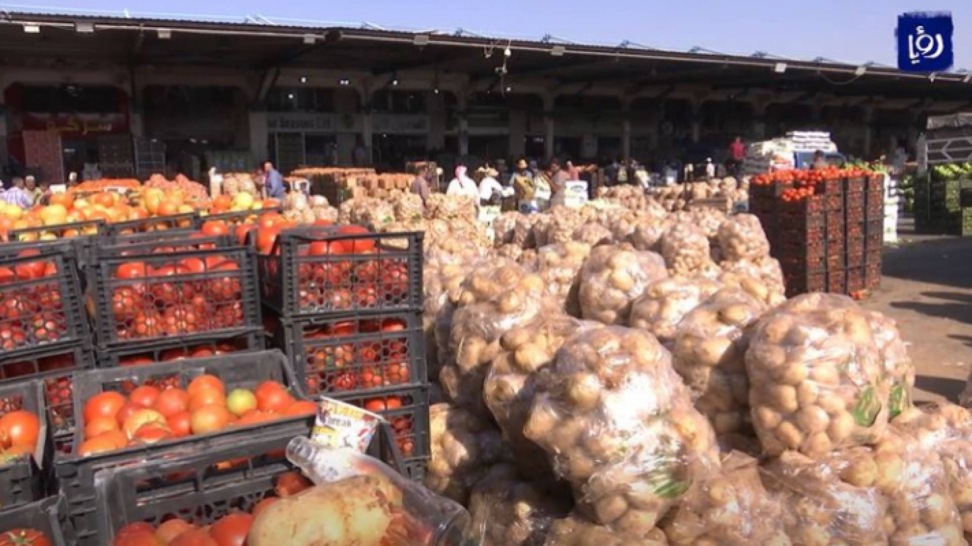 صورة توضيحية لأصناف من الخضراوات