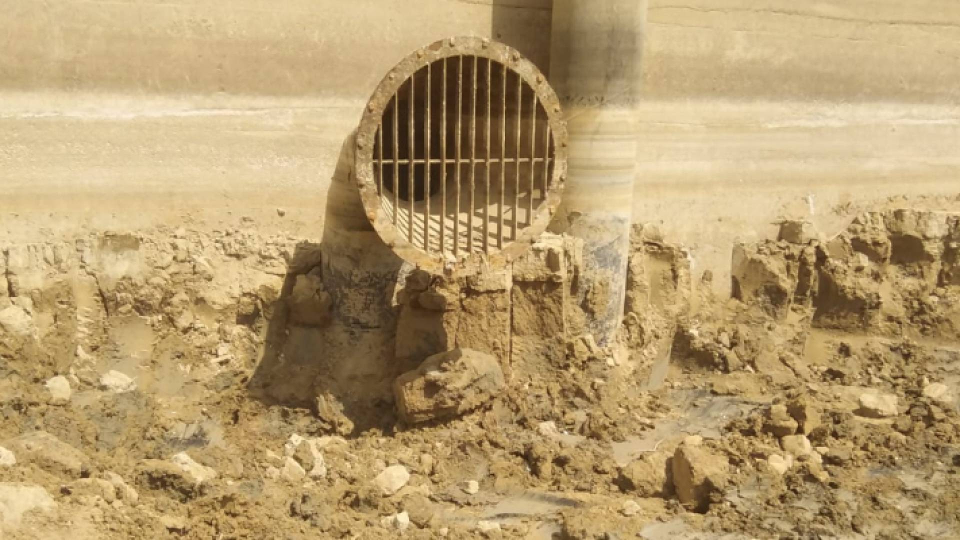 أثناء تنظيف أسد التنور من الرسوبيات المتراكمة